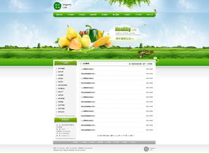 綿陽綠色食品網站開發 構建健康與科技融合的電商平臺