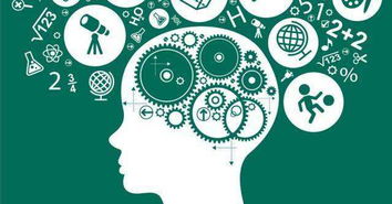 幻覺記憶背后的真相及其在綿陽網站開發中的應用